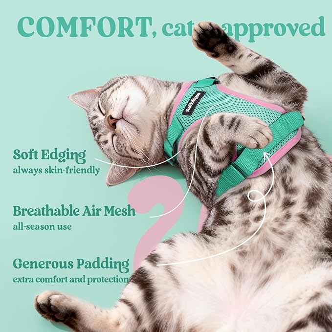 rabbitgoo Cat Harness and Leash