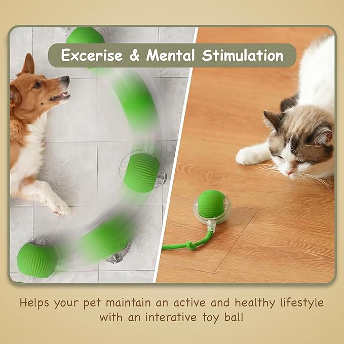 Smart Ball 2.0 - Automatic Cat Toy & Interactive Dog Toys for Small Dogs - Moving Cat Toy Ball for Indoor Cats - Motion Activated, Light Up, USB-C Rechargeable Pet Toy, 2 Speed Modes [Green]