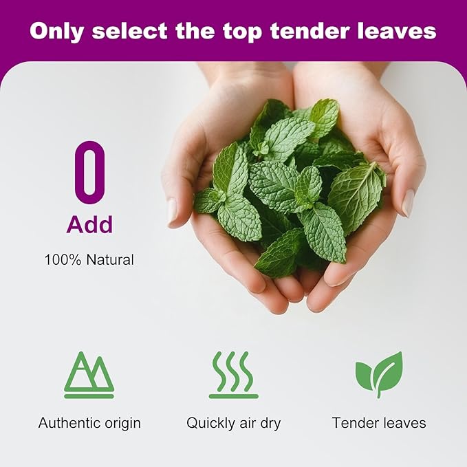 Organic 100% Natural Catnip Cattle Grass Mint Taste Funny Cat Toy New Cat Toy Interactive Cat Toys Pet Supplies