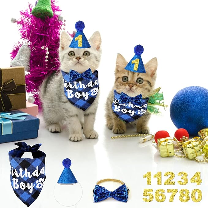 Cat Birthday Party Supplies with Hat, Scarf, Tie & Bandana - Cat Themed Decor (Blue)