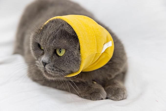 Cat Snood Ear Wrap Protectors Anxiety Relief Ear Cover Hematoma Compression Yellow+Aqua Blue S