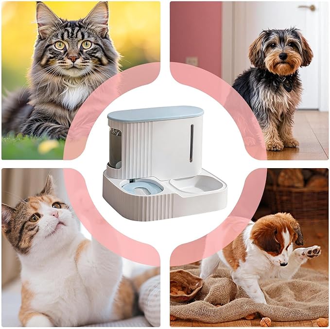 Cat Feeder and Water Dispenser - 2 in 1 Puppy Water Feeder - 3L Detachable Cat Dry Food Dispenser - for Kitten Puppy Home Indoor Vacation Feeding Watering
