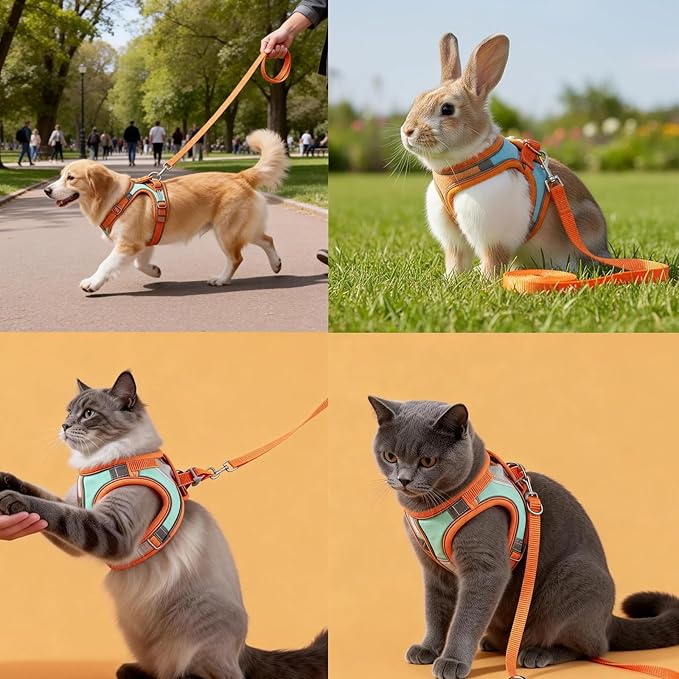 Escape-Proof Cat Harness and Leash Set, Soft Breathable Mesh Vest Style Cat Harness, Adjustable Step-in Cat Harness for Walking, Easy Wear Outdoor Harness for Small Medium Cats (L - 9-15 lb)