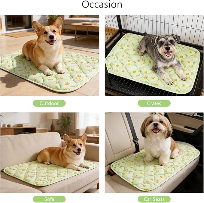 DELIFUR Pet Cooling Blanke, 23.6x35.4 in Ice Silk Cooling Mat for Dogs & Cats, Portable & Washable Pet Cooling Blanket, Easy Carry Mats for Crates, Beds, Sofas, Cars, Summer Use (Green)