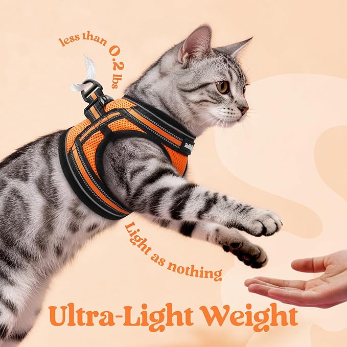 rabbitgoo Cat Harness and Leash Set for Walking Escape Proof, Adjustable Soft Kittens Vest with Reflective Strip for Cats, Comfortable Outdoor Vest,Light Orange,M