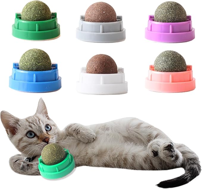 6PCS Catnip Balls for Cats Wall Edible Cat Toys with Catnip Silvervine Gall Fruit Flavors for Cat Lick Safe Teeth Cleaning Dental Cat Toy