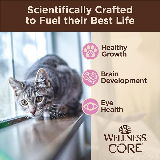 Wellness CORE Tiny Tasters Pate Kitten Wet Cat Food, Natural, Protein Rich, Grain Free, Chicken Recipe, 1.75 oz, Pack of 12 Pouches