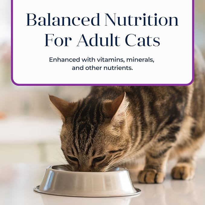 Blue Buffalo Basics Grain-Free, Turkey, Adult Wet Cat Food, 3 oz., Count of 24