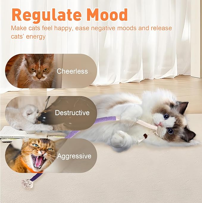 TEAWOO Cat Toys Chew Ropes 3Pcs with Natural Catnip, Safe Teeth Cleaning Toy for Indoor Kittens, Interactive Cat Kitty Toys for All Breeds (27.56 Inches, 3 Bags of Catnip Included)