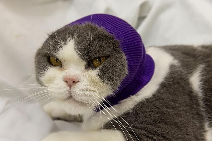 Cat Ear Wrap Safe & Sound Noise Reduction Calming Anti-Anxiety Ear Cover Neck Gaiter Purple S