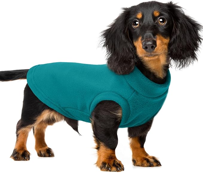 PUMYPOREITY Fleece Sphynx Cat Clothes, Warm Thick Cat Sweater, Soft Winter Coat for Hairless Cats, Cold Weather Pet Sweater for Dogs and Cats, Blue, 2XL