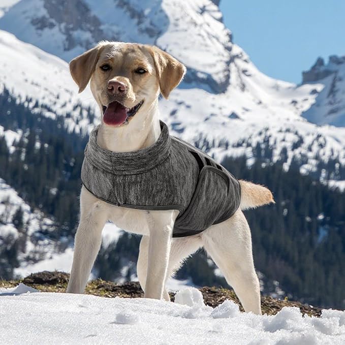 Queenmore Small Dog Sweaters, Soft Fleece Vest Pullover Dog Jacket with Leash Hole, Warm Winter Dogs Clothes Cold Weather Doggy Dachshund Sweater for Small Doggy Cats Boy or Girl (Cationic Gray, S)