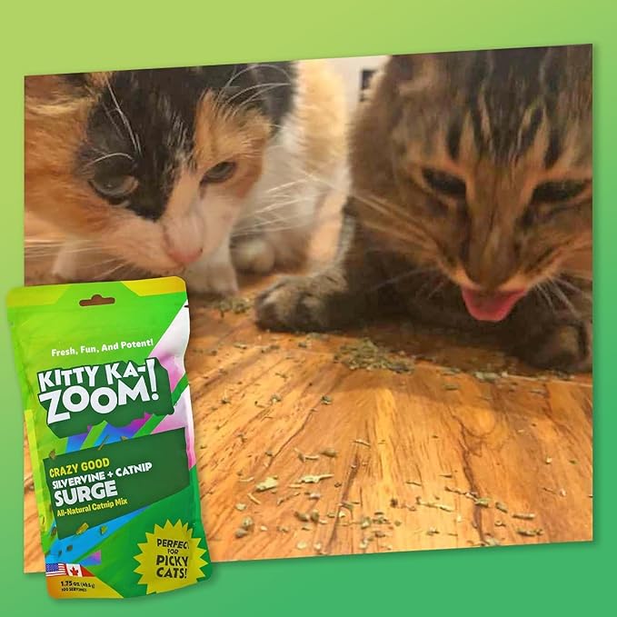 Silvervine Surge 2-Pack | Catnip and Silvervine Mix | Hand Harvested Fresh Catnip Grown in Canada and The USA | High Potency Blend for Engaging Play