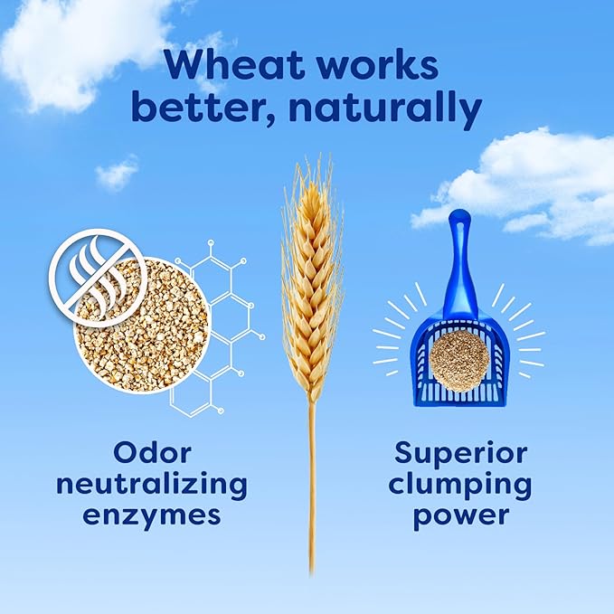 sWheat Scoop Natural Wheat Cat Litter, Original, Fast Clumping with Odor Neutralizing Enzymes, 14 Pound Bag