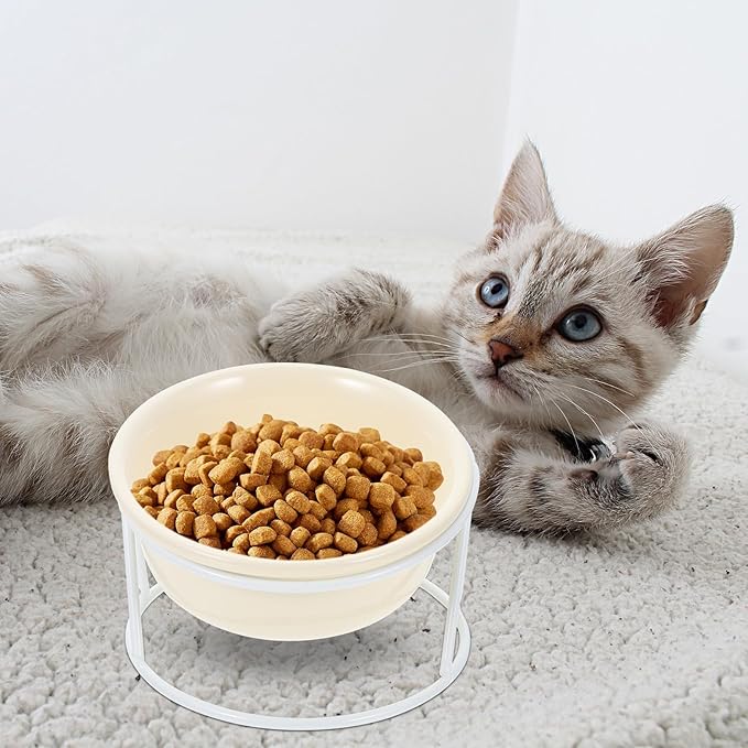 Ceramic Cat Feeder Bowl Elevated Pet Food Holder with Iron Stand Beige Raised Water and Food Dish for Cats and Dogs Neck Protection