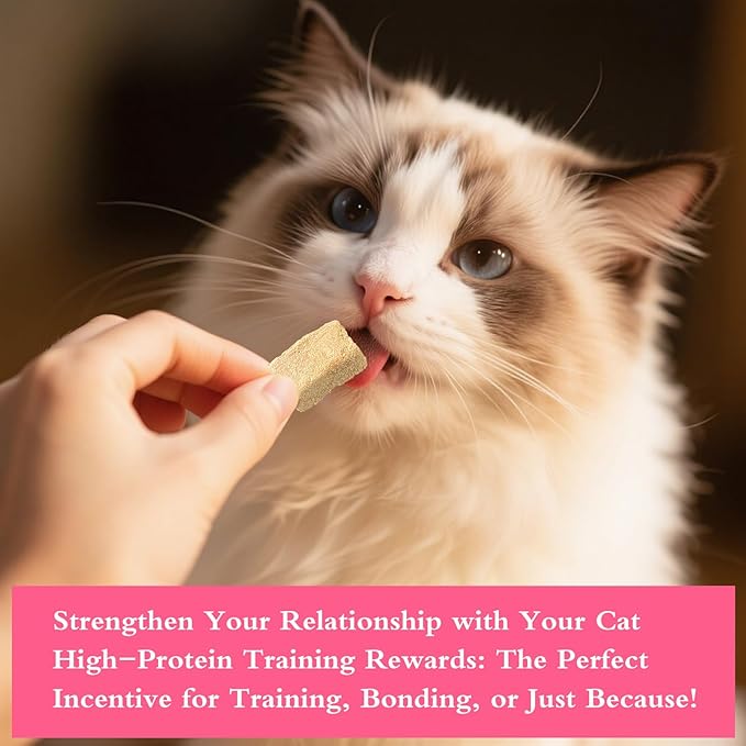 Cat Urinary Care Bricks Cat Treats for Indoor Cats - Soft and Crunchy Cubes, Cranberry for Kidney Bladder and UT Support, Delicious Daily Treats, Easy-to-Chew Cat Snacks (60g)