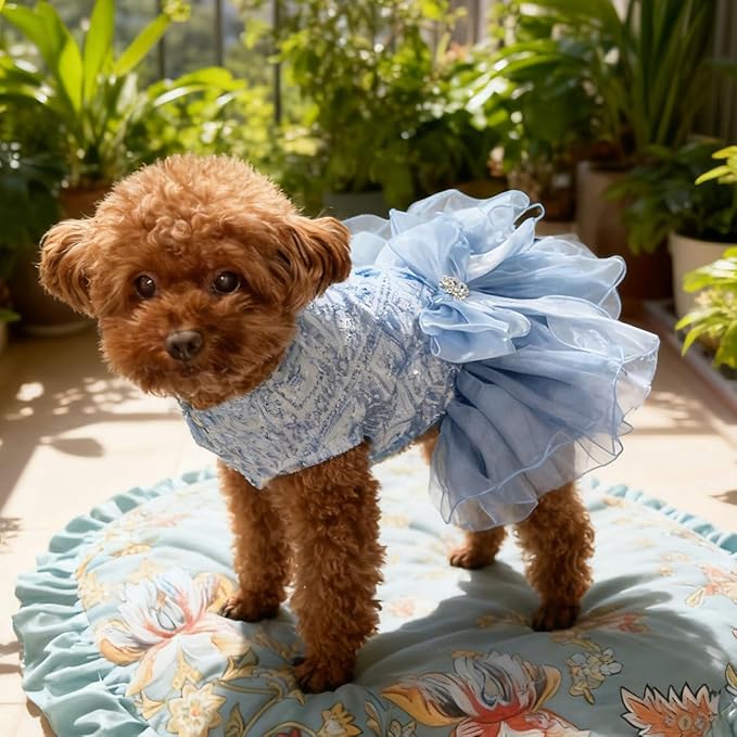 Blue Princess Small Dog & Cat Dress - Sequin Tutu Outfit with Bow Knot & Pearl Decor | Formal Pet Clothes for Wedding, Birthday, Party | Fit Chihuahua, Yorkie, Kitten (Blue-Bow, Small)