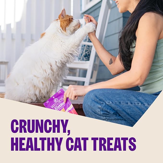 Wellness Kittles Crunchy Cat Treats, All Lifestages, Kitten to Senior, Natural, Grain Free, Salmon and Cranberry Flavor, 2 oz Bag