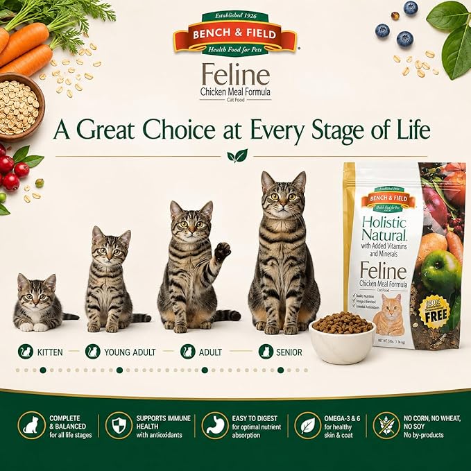 Bench & Field Holistic Premium Dry Cat Food, Chicken Meal & Brown Rice Recipe, Made Without Corn, Wheat, or Soy, All Life Stages, 9 lbs Total (3 lb Pack of 3)