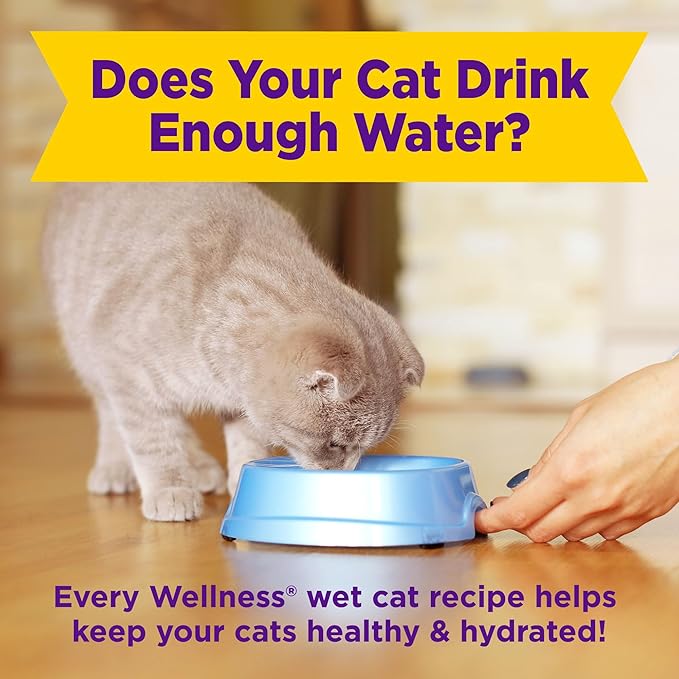 Wellness Appetizing Entrées Mousse Adult Wet Cat Food, Natural, Protein Rich, Grain Free, Chicken and Turkey Recipe, 1.4 oz, Pack of 8 Pouches