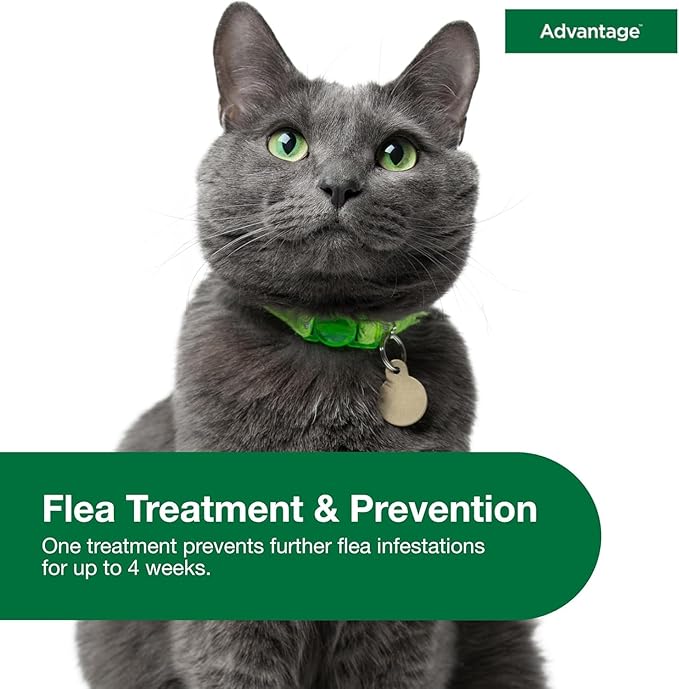 Bundle of Advantage Topical Flea Treatment and Prevention for Large Cats Over 9 lbs. + Advantage Yard & Premise Spray 32 oz.