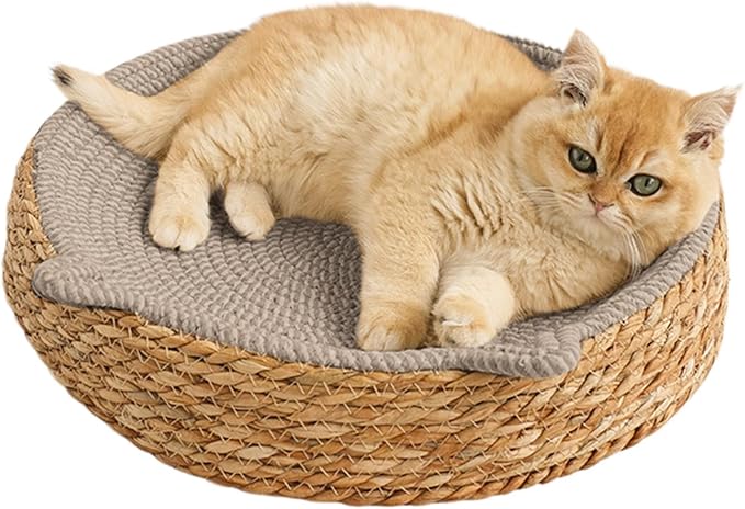 Cat Lounge Disc Bed Circular Sisal Fiber Ventilated Cooling Scratch Board Pad Rest Sleep Toy Tunnel Jump Fitness Paw Care Relaxation Ergonomic Nonslip FurnitureSafe Premium