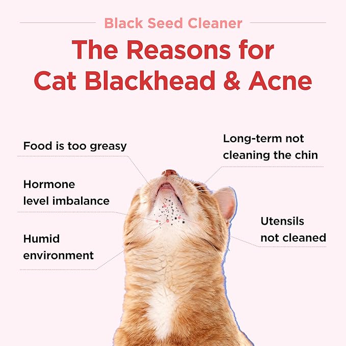 JAYU PET Black Seed Cleaner - Cat Chin Acne Treatment, Non-Toxic Hypoallergenic Cleanser, Cat Acne Chin Treatment, Remove Cat Chin Blackheads, Improves Skin Health 4.3 fl.oz (125ml)