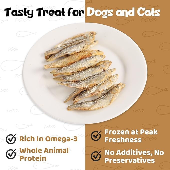 Minnows - Freeze Dried Minnows for Dogs & Cats, 100% Natural Single Ingredient Dog & Cat Treats, 2 oz