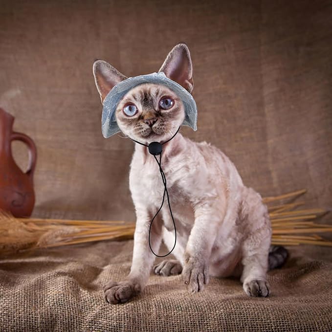 QBLEEV Cat Hats for Cats Only, Sphynx Hat with Ear Hole, Hairless Cat Cowboy Hats for Birthday Party Halloween, Kitten Headwear Sun Sombrero Caps, Chihuahua Sunscreen Baseball Outdoor Climbing Cap