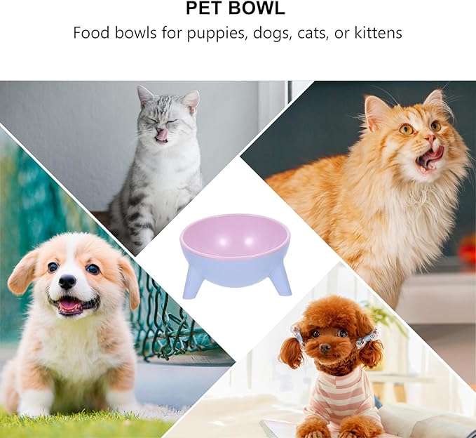 VICASKY Stable Double Pet Bowl Raised Cat Feeder with Anti-Slip Plastic Bowls 15° Tilted Design for Indoor Cats and Dogs, Spill-Resistant Feeding and Watering Station in Cherry Blossom