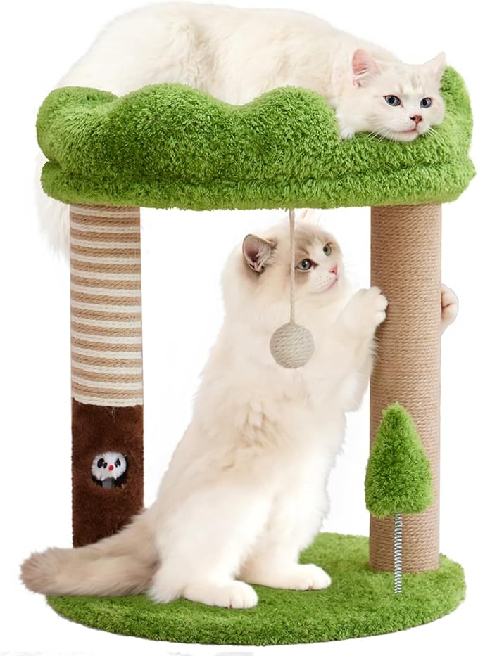 WOOCHPET Small Cat Tree with Perch Cat Bed and Removable Cover 23 inch Tall Cat Tower with 2 Scratching Sisal Scratching Posts and Cat Toys for Kittens and Adult Cats（Green）