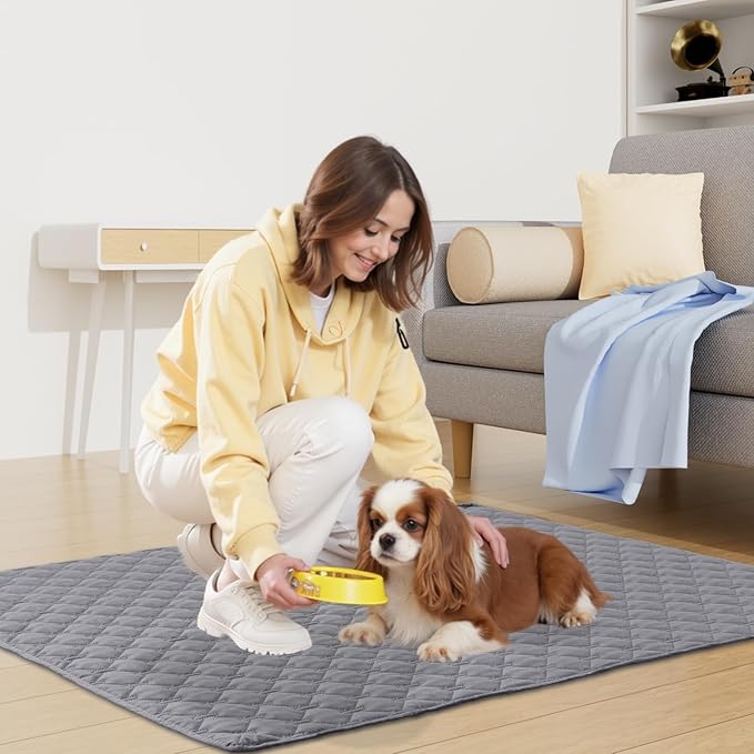 Smiry Waterproof Dog Bed Cover Blanket, Soft Reversible Pet Blanket, Washable Leakproof Cats Dogs Couch Cover for Sofa, Couch, Furniture (30x53 Inch, Grey/Dark Grey)