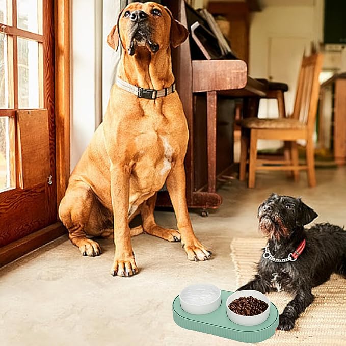 Heated Cat Bowl,Thermostatic Raised Cat Bowl, Double Cat Food Bowls, USB Heated Dog Bowl Ceramic Cat Water Bowl for Feral Cat Feeding Station Provide Non Freezing Water in Winter