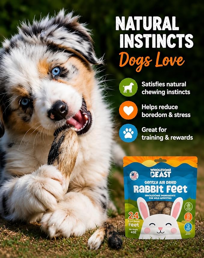 Rabbit Front Feet for Dogs – Natural Fur-On Rabbit Dog Treats, Gently Air Dried Single Ingredient Chews, High Protein Raw Feeding Snack for Small & Medium Dogs – 24 Count