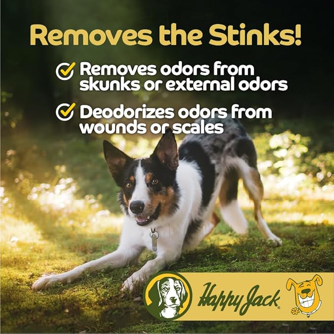 Happy Jack Dog Itch Relief Shampoo & Medicated Treatment (12 oz) Stops Itching, Scratching & Gnawing Fast, Soothes Flea Bites & Allergies, Skin & Coat Care for Puppies, Adults & Sensitive Dogs