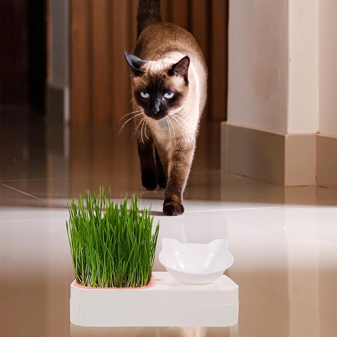 Veemoon Multi-Functional Cat Grass Planter and Pet Feeder Bowl with Watering Dish, Pink Kitten Food and Drinking Station for Indoor Cats