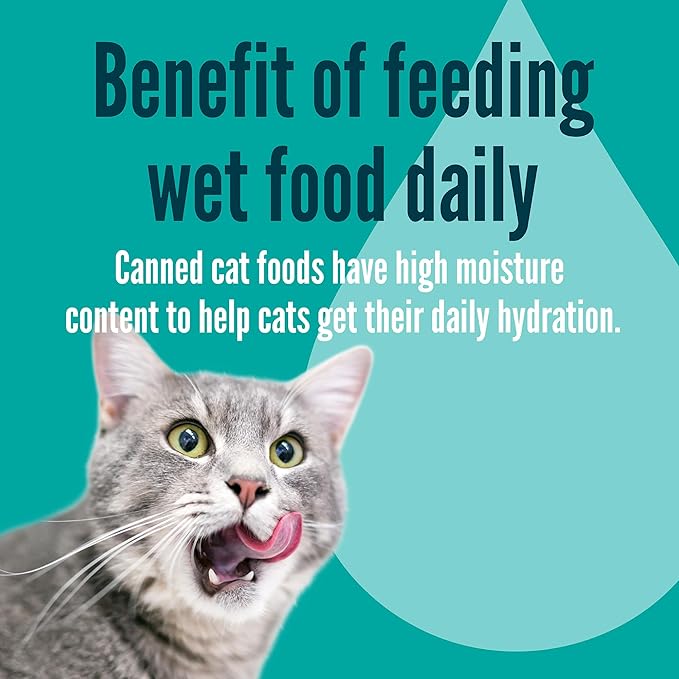 A Strong Heart Split Cup Wet Cat Food, Salmon Entree - 2.6 oz Split Cups, 20 Servings (Pack of 10), Made in The USA with Real Salmon & Poultry