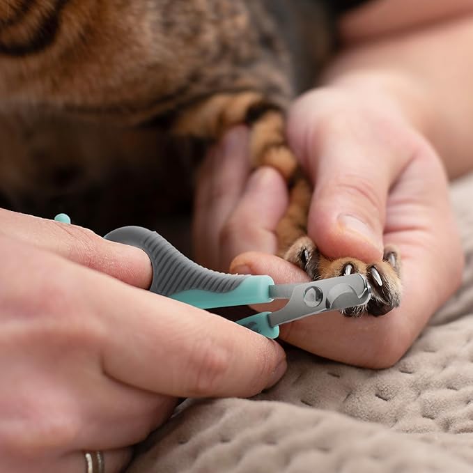 Mr. Pen- Cat Nail Clipper, Stainless Steel, Professional Sharp Cat Claw Trimmer for Small and Medium Cats, Pet Nail Clipper with Sturdy Non Slip Handle