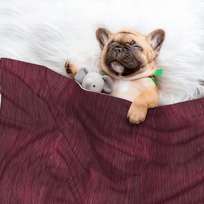 Cat Dog Blanket Burgundy Metal with Subtle Shine Lines Ultra Soft Warming Mat for Indoor Pet Beds Furniture 27.6 X 19.7inch