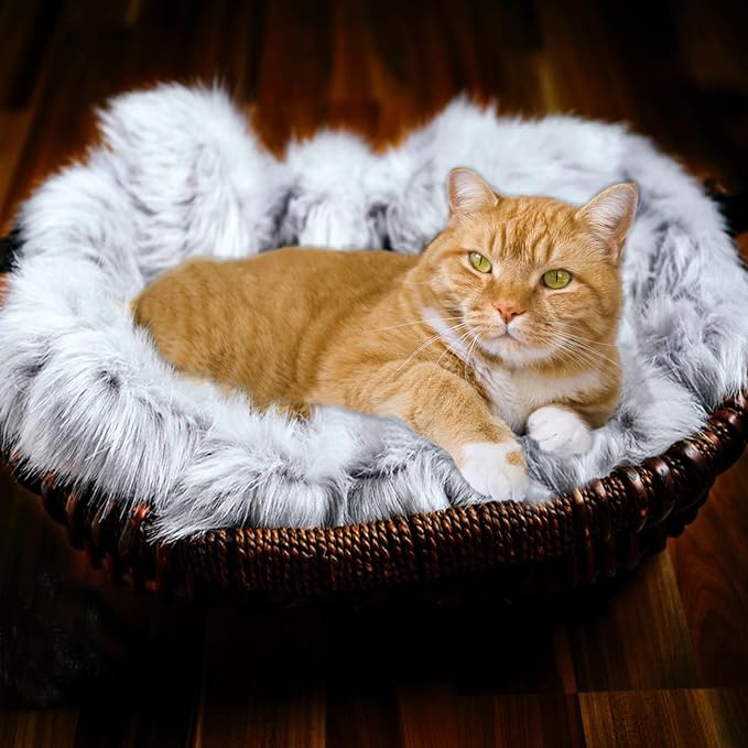 Dog Cat Bed Mat 19.6x31.4 inch, Washable Soft Plush Faux Fur Fluffy Puppy Pads Blanket for Indoor Pet Sleep Cushion Grey