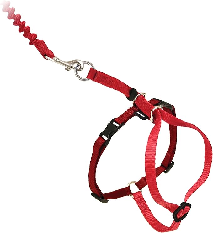 PetSafe Come with Me Kitty Harness and Bungee Leash Adjustable, Lightweight Harness for Cats Small, Red