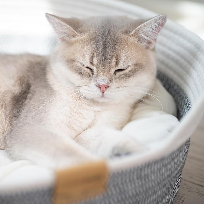CHEERHOME PETS Cat Bed Basket with Cushion, Cotton Rope Woven Pet Bed for Indoor Cats Couch, Stimulicat Cat Bed Handwoven Breathable, All Season Universal (Grey)