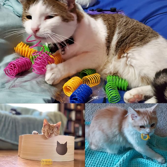 ISMARTEN Cat Spring Toys 60 Pack, Colorful Springs Cat Toys Interactive Cat Toy Plastic Coil Spiral Springs Creative Cat Toy to Kill Time and Keep Fit Heavy Plastic Spring for Indoor Cats Kitten Toys