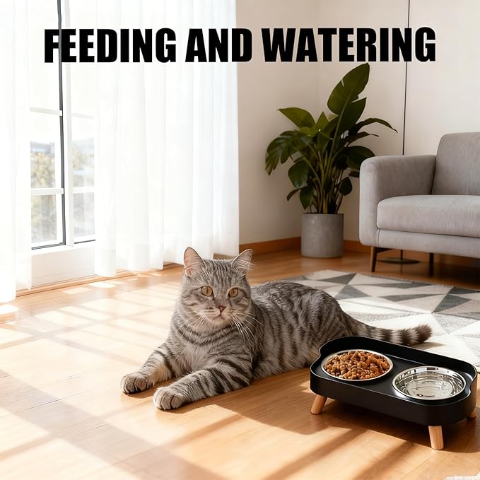Elevated Cat Bowls, 2 Stainless Steel Raised Cat Food and Water Bowl Set, Splash Proof & Non-Slip, Whisker Fatigue Friendly, Dishwasher Safe for Cats and Small Dogs - Black
