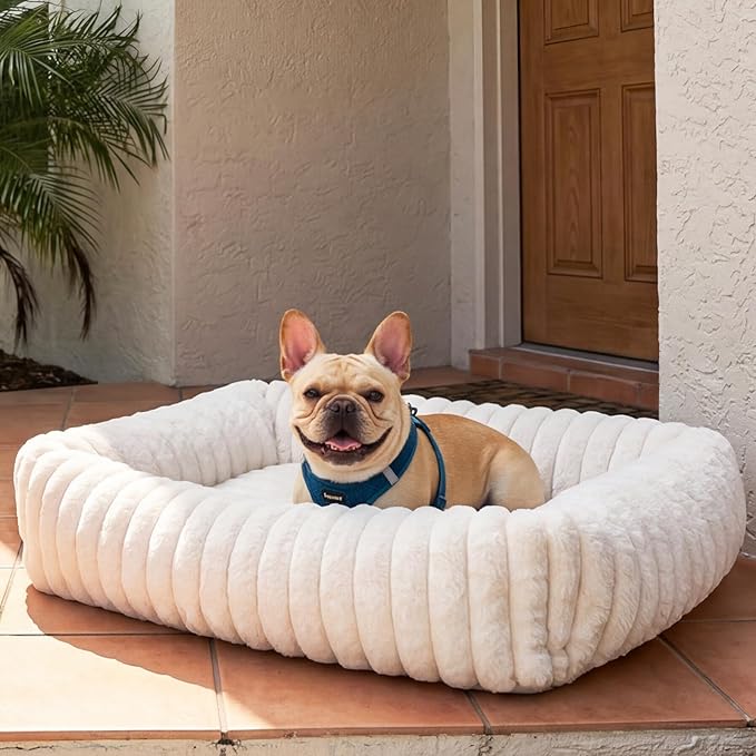 Dog Bed for Small Medium Size Dog, Washable Self Warming Dog Cat Beds for Indoor Cats Fluffy Rabbit Fur Pet Bed for Puppy and Kitten, Orthopedic Dog Cat Beds with Removable Cover & Anti-Slip Bottom