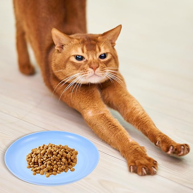 4pcs Round Flat Bottom Cat Food Bowls Set, Plastic, 15cm Diameter, Multi-Color, Suitable for Indoor Cats and Kittens Feeding and Watering