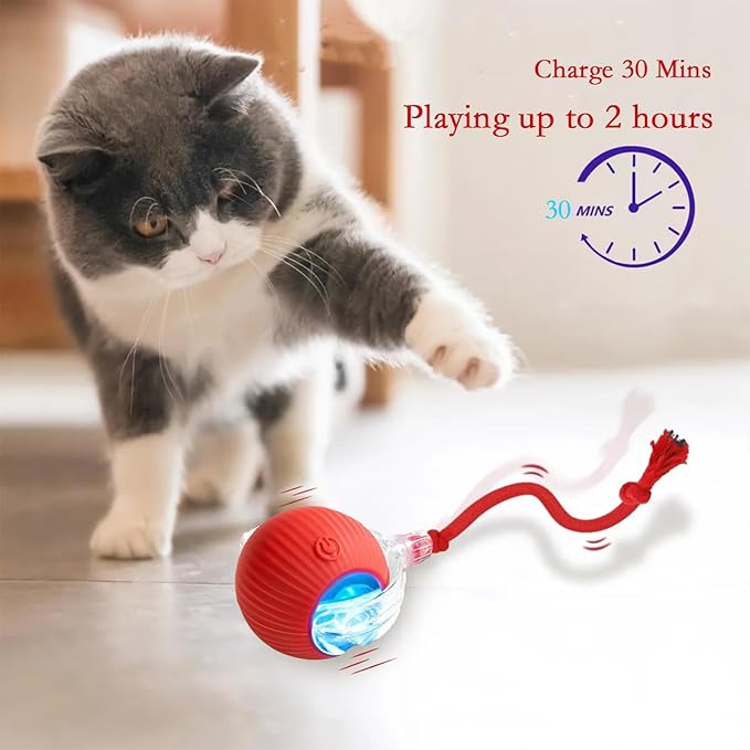 Interactive Rolling Cats Toys Ball for Indoor- Rechargeable Moving Interactive Dogs Balls Toy for Indoor, Self-Playing Automatic Moving Kitten Toys for Cats, Durable and Safe Material (Red)