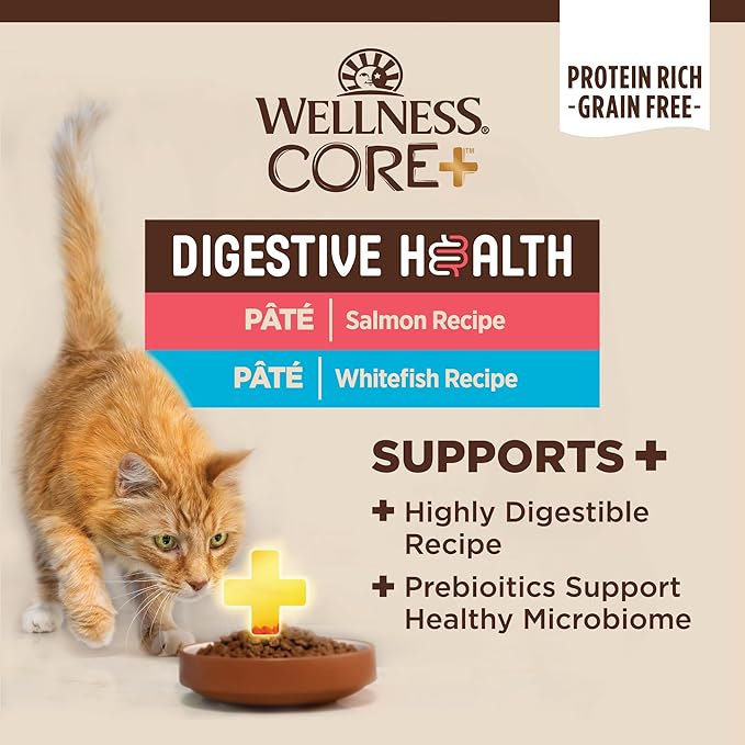 Wellness CORE+ Digestive Health Pate Variety Pack Adult Canned Wet Cat Food, Natural, Protein Rich, Grain Free, Salmon and Whitefish Recipes, 3 oz, Pack of 12 Cans
