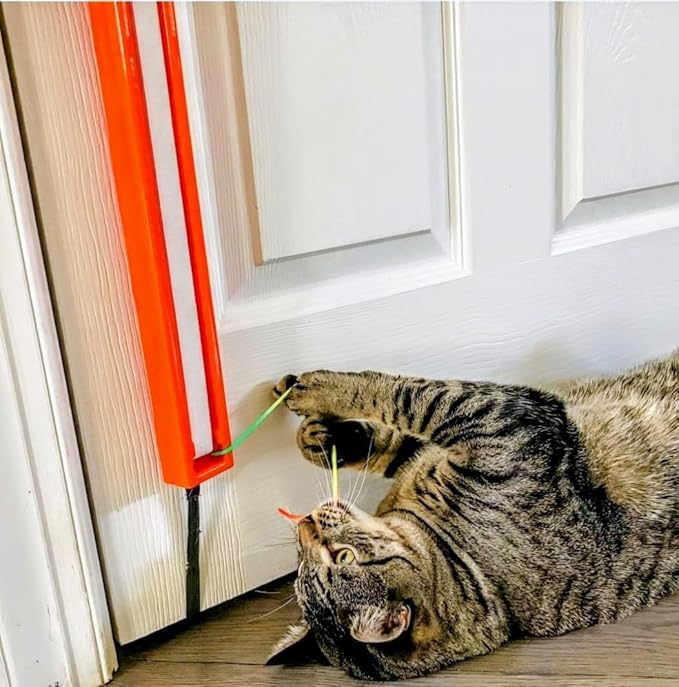 Moody Pet Interactive Cat Toy for Indoor Cats – Fling-AMA-String Automatic, Moving, Flying String Toy for Cats – Battery Operated, Door Hanging Exercise Toy for Kittens & Adult Cats