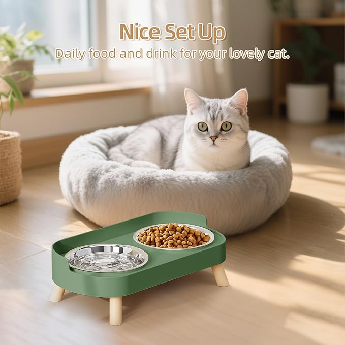Elevated Cat Bowl, Raised Cat Food and Water Bowl Set for Indoor Cats, Splash Proof with 2 Stainless Steel Pet Food Bowls for Cats and Puppies, Whisker Fatigue and Dishwasher Safe - Green
